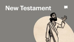 New Testament Overview